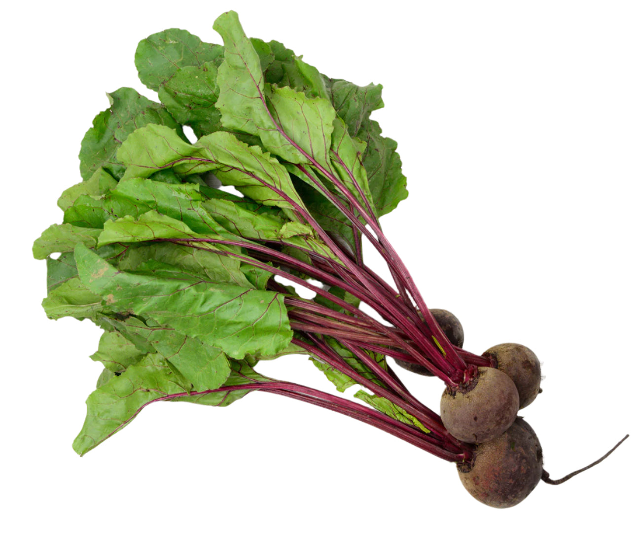 Bunch Beetroot (bunch)
