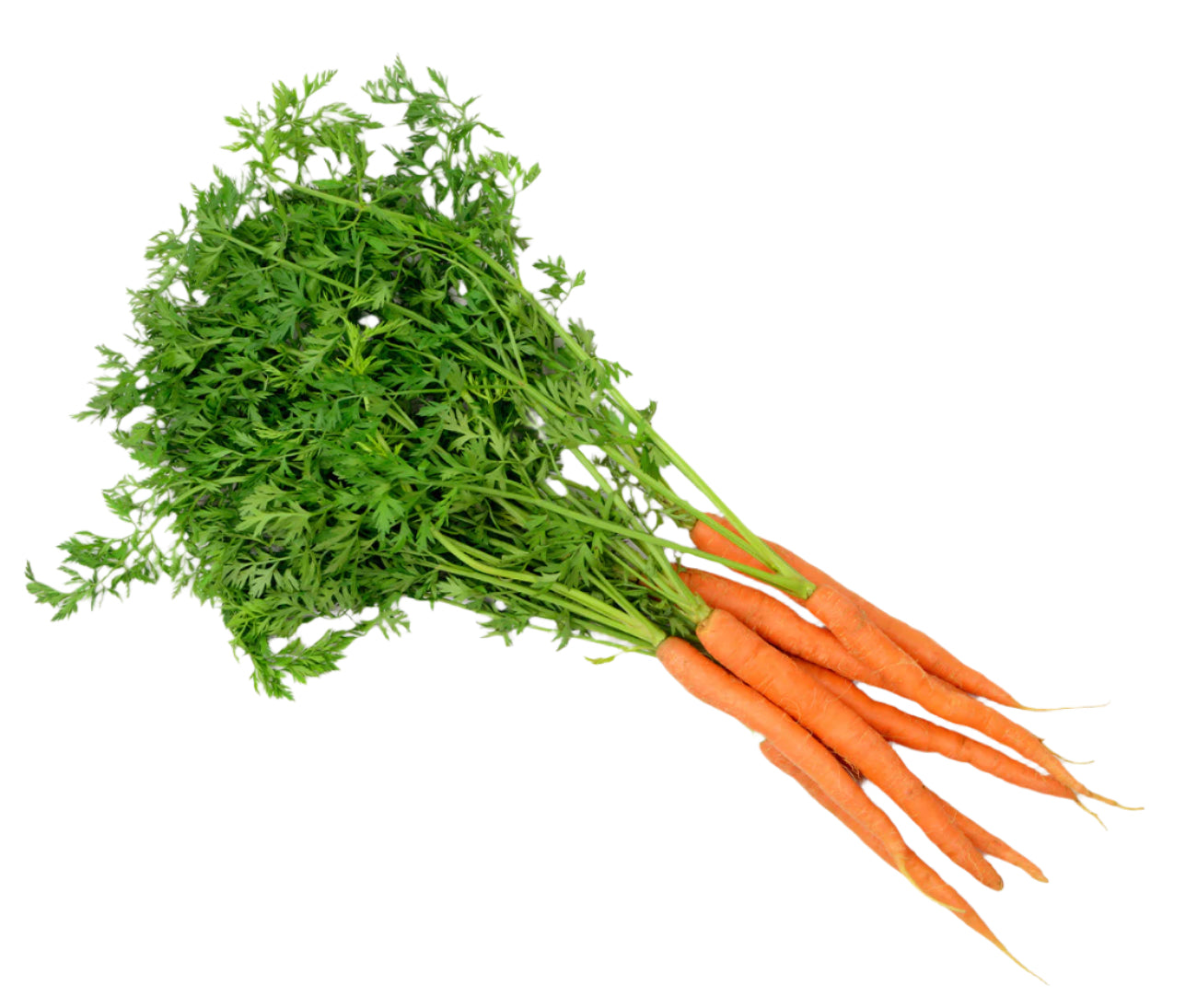 Leafy Carrots (bunch)