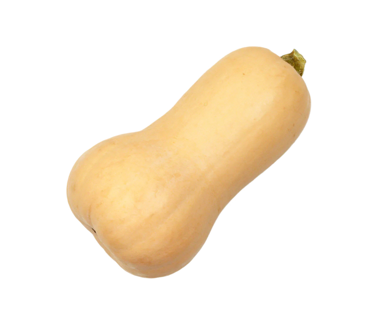 Butternut Squash (each)