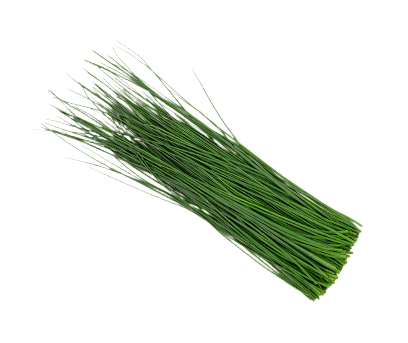Chives (25g)