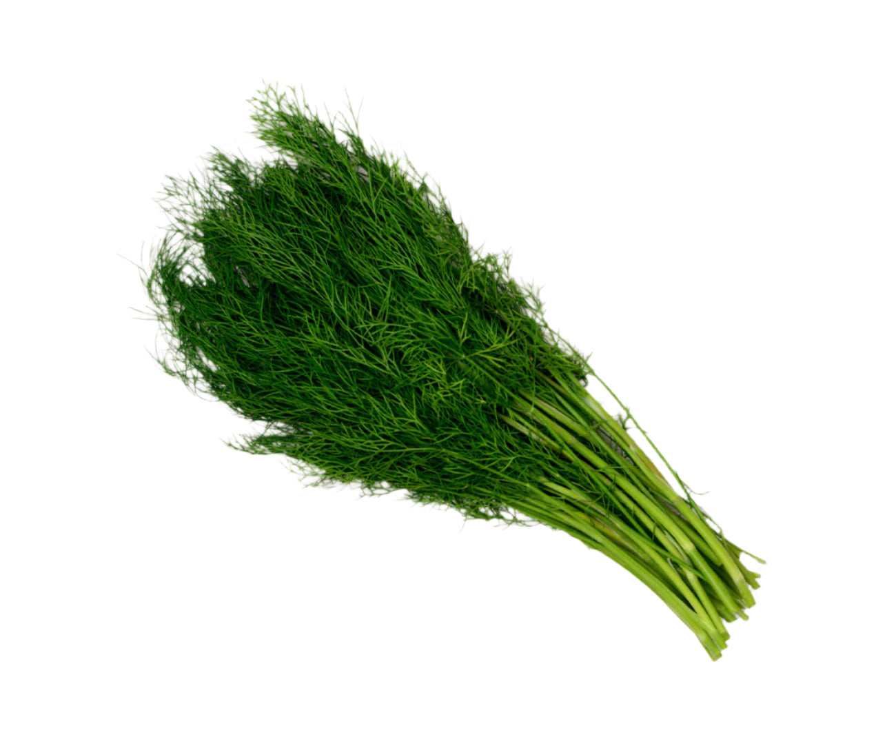 Dill (25g)