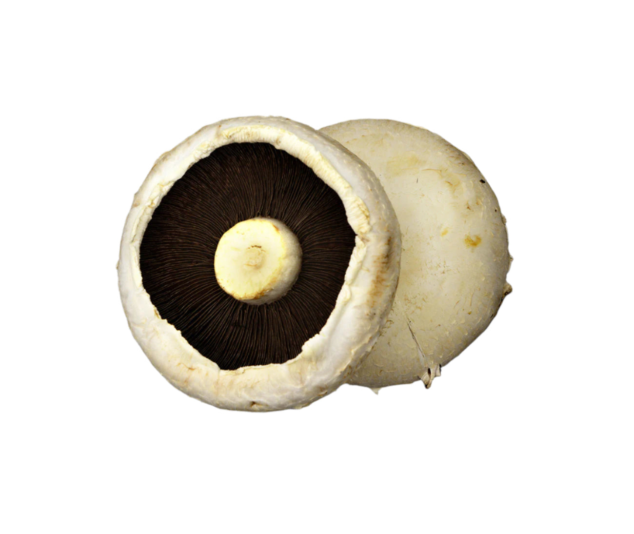 Flat Mushroom (250g)