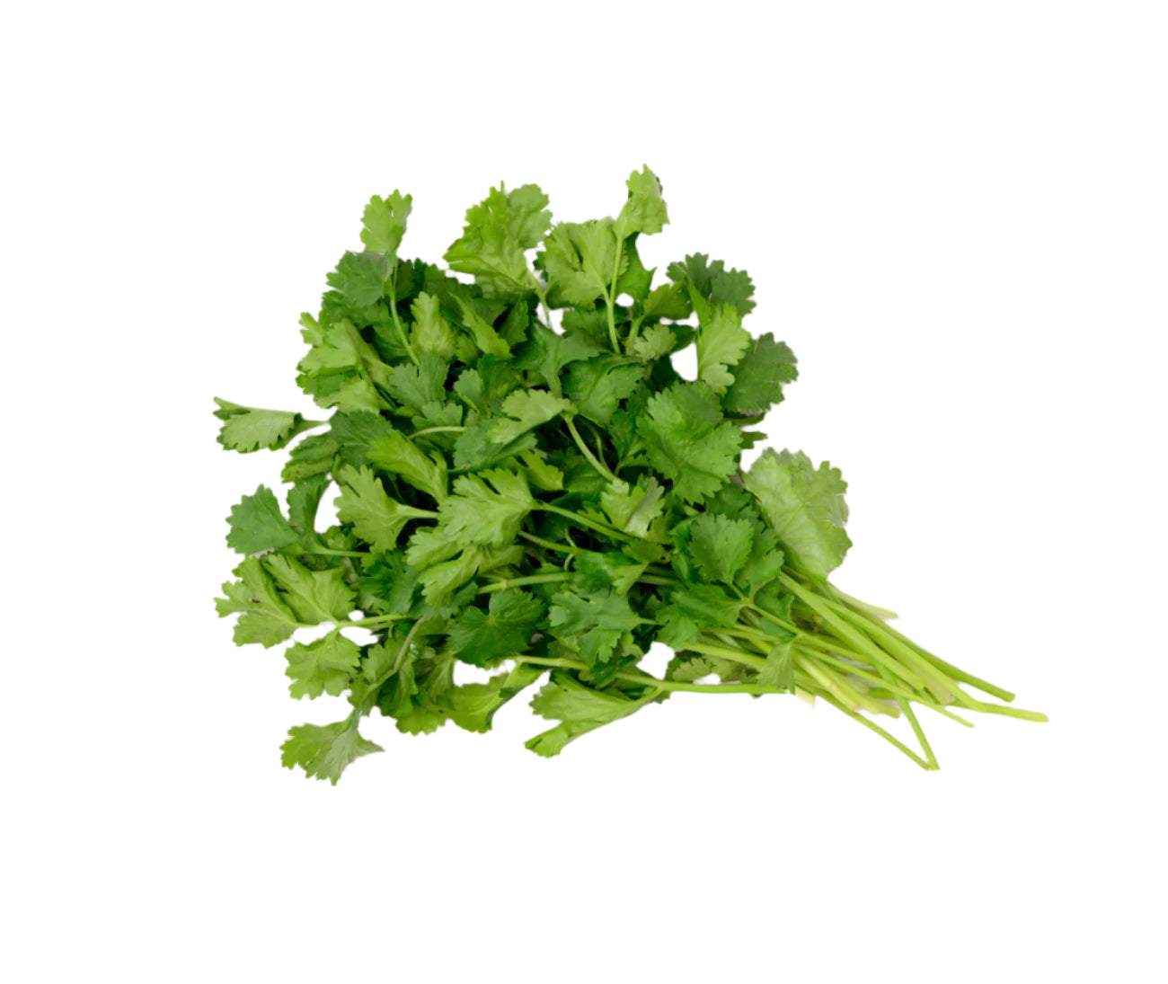 Flat Parsley (25g)