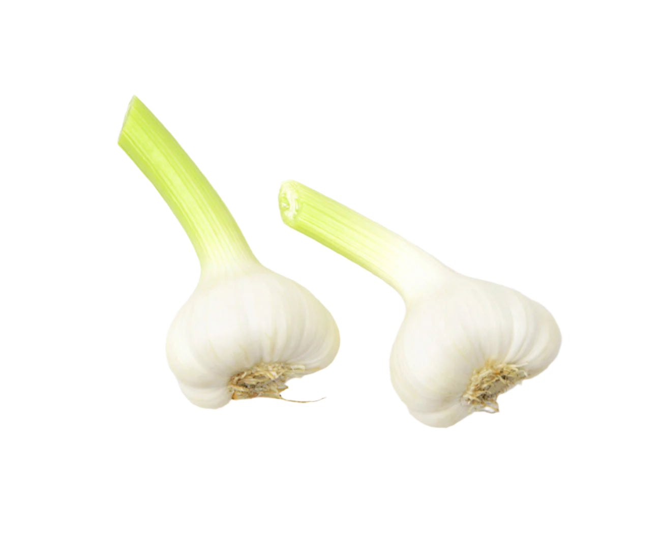 Garlic (each)