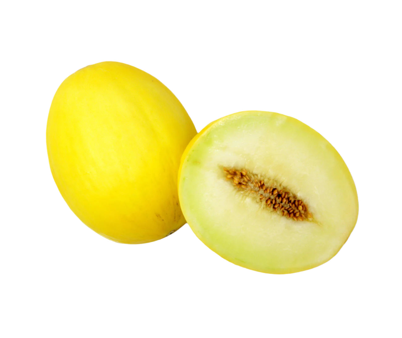 Honey Dew Melon (each)