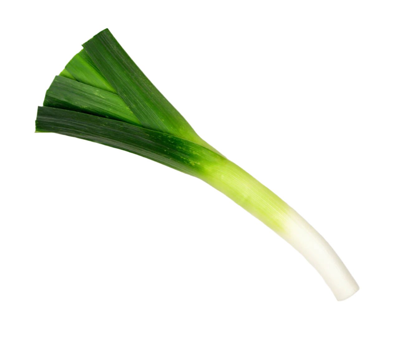 Leek (250g)