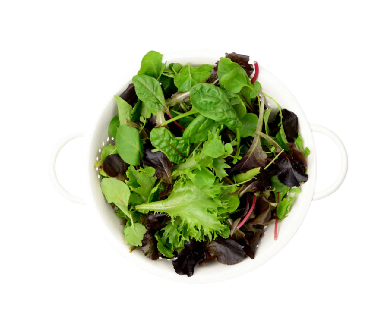 Mixed Baby Leaf (100g)