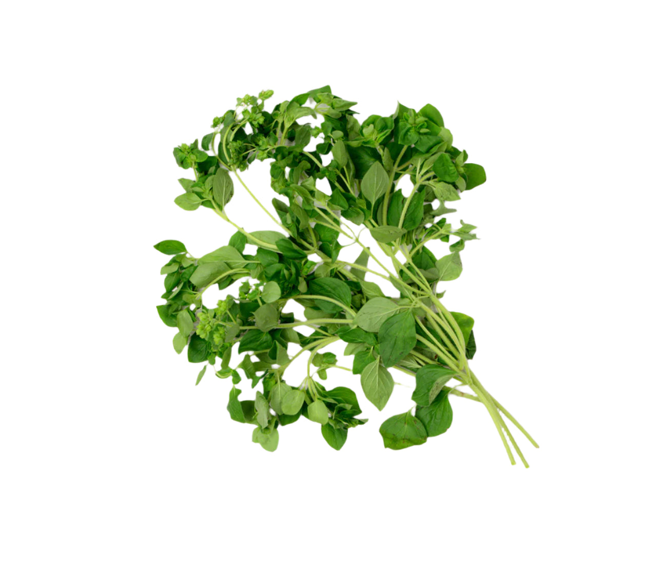 Oregano (25g)