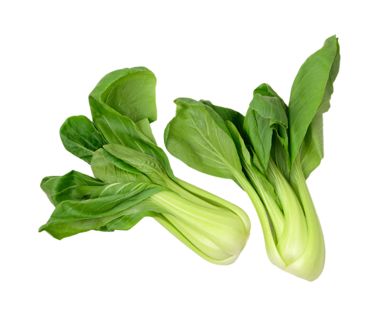 Pak Choi (2 head)