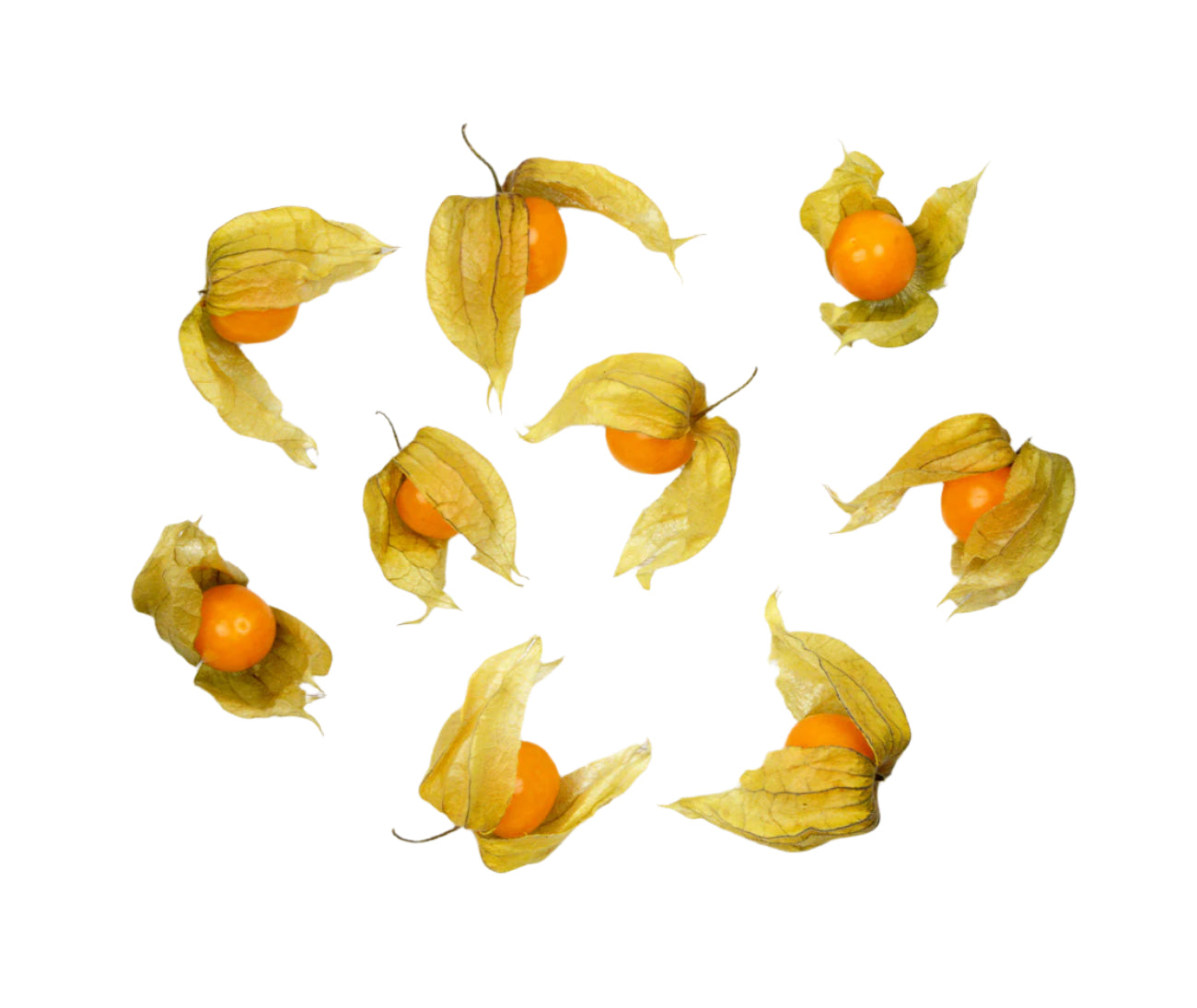 Physalis (100g)