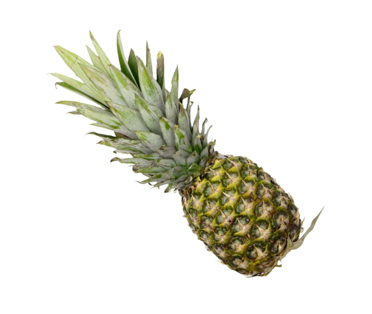 Pineapple (each)