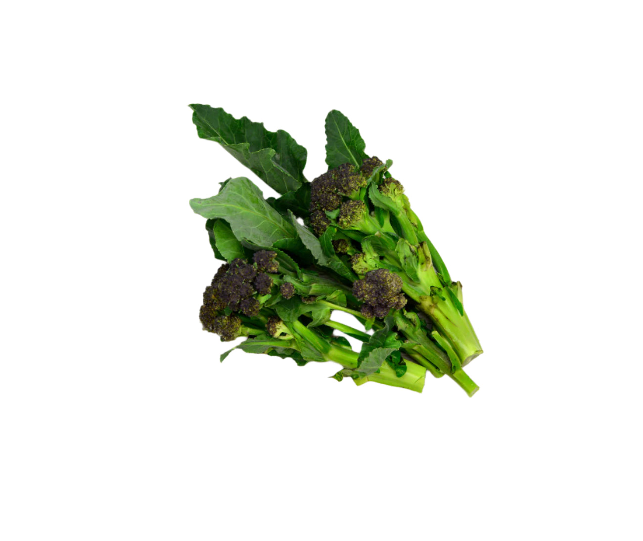 Purple Broccoli (250g)