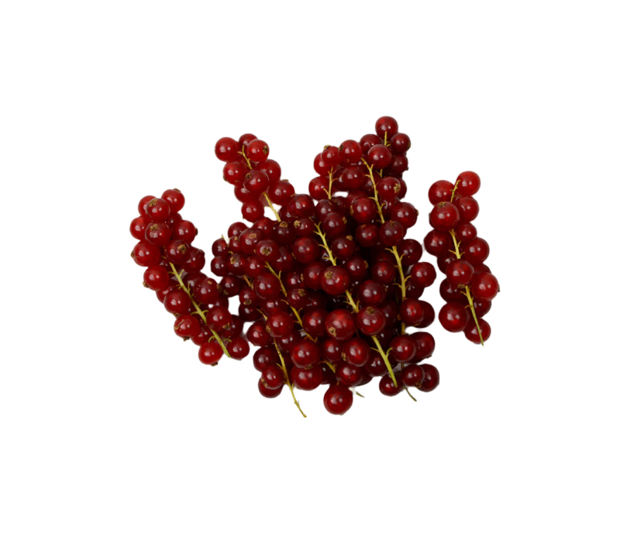 Red Currant (125g)