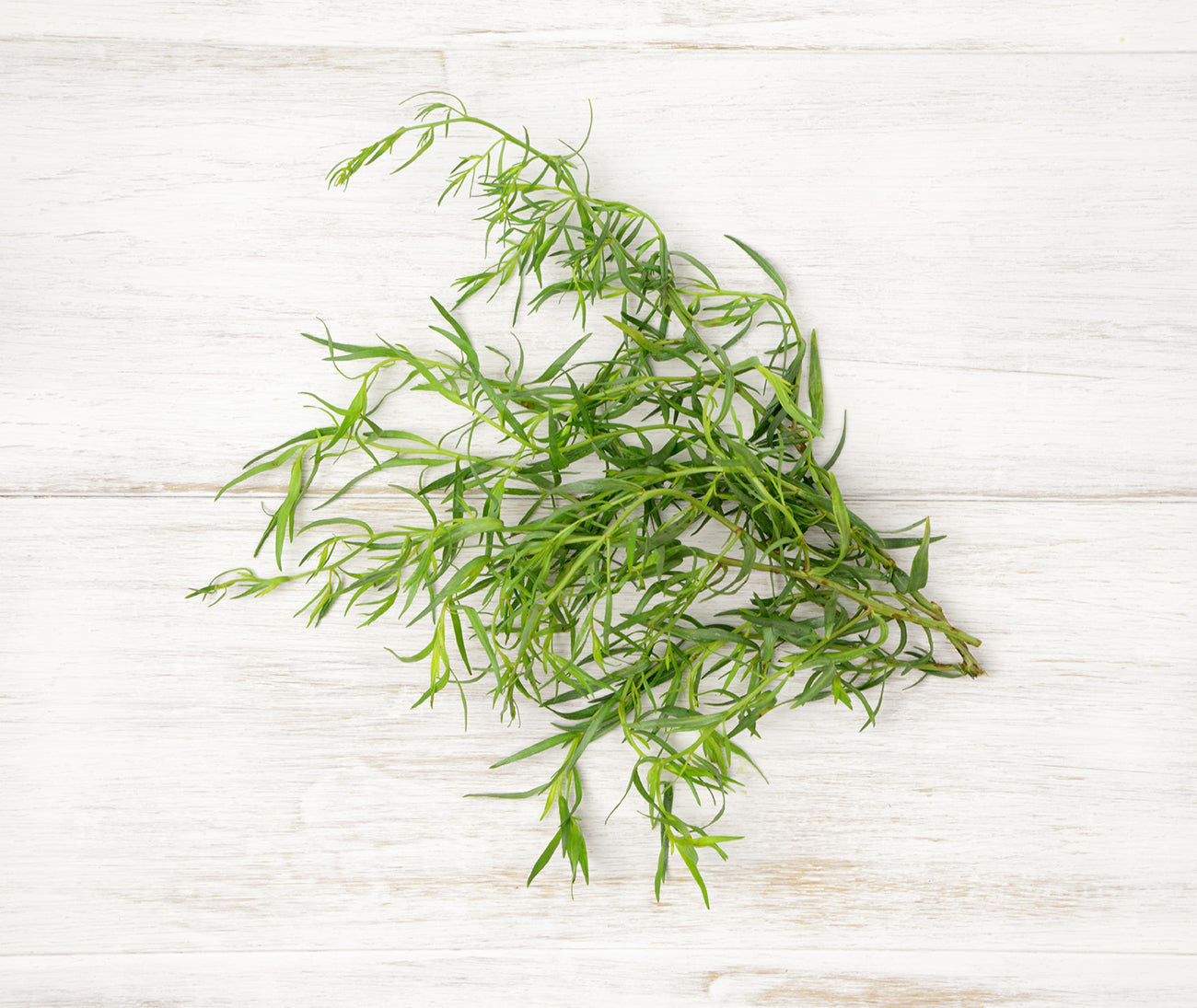 Tarragon (25g)
