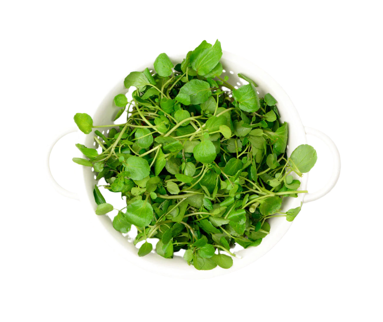 Watercress (bunch)