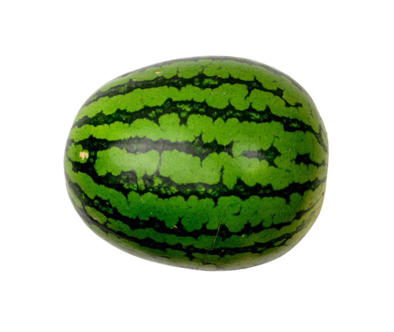 Watermelon (~5kg)
