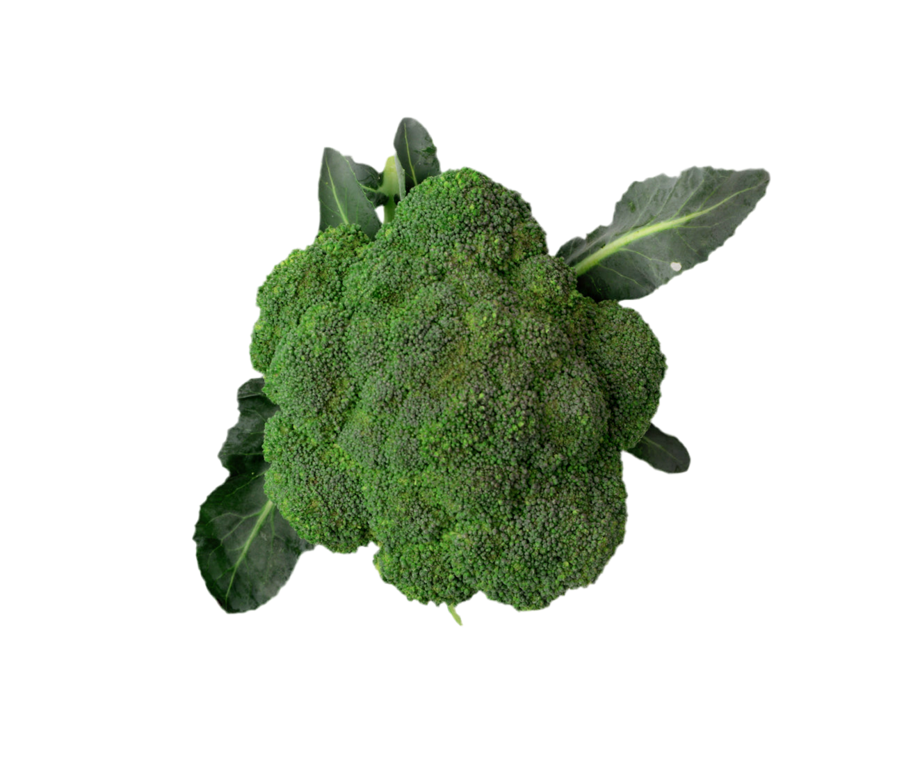 Broccoli (300g)