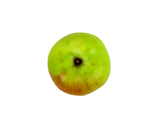 Bramley Apple (500g)